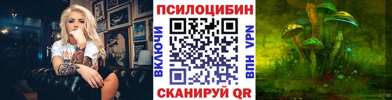 Купить где  Белокуриха  Псилоцибиновые грибы мухоморы 