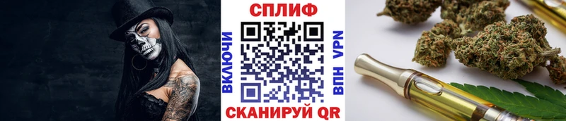 МАРИХУАНА сатива  Купить закладки  Белокуриха 